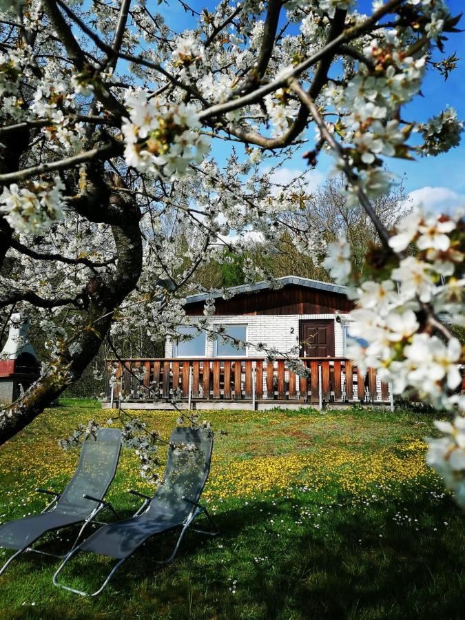 Ferienhaus Chiara, Suedharz, Harztor Ilfeld Экстерьер фото